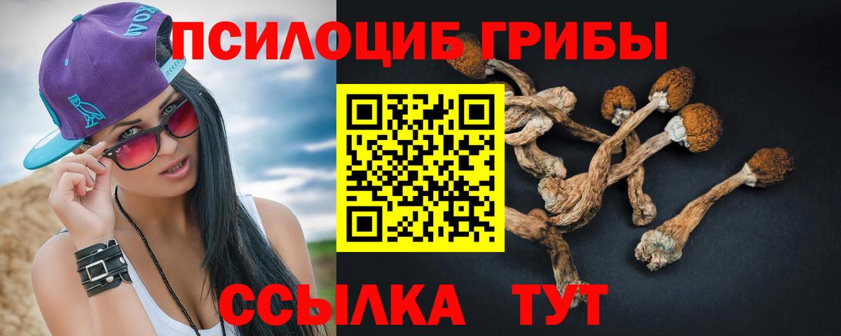 Галлюциногенные грибы Cubensis  Вход с VPN  Москва  Галлюциногенные грибы Magic Shrooms 
